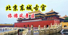 骚妇网站中国北京-东城古宫旅游风景区